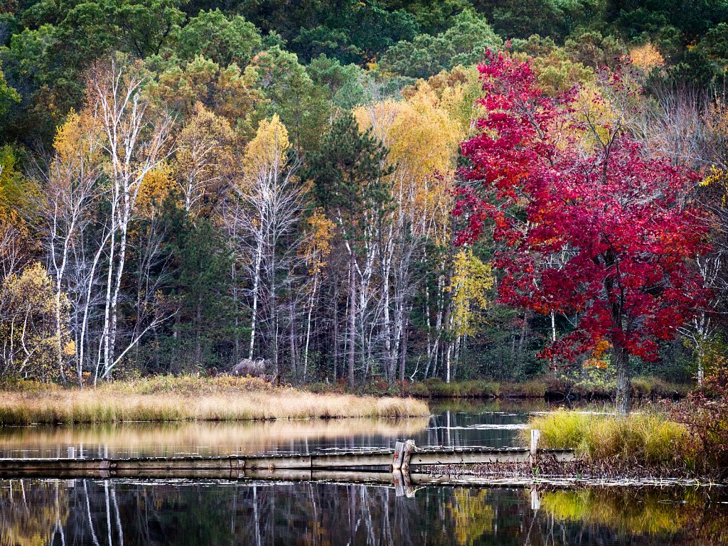 Fall on Left Foot Lake, Crivitz, Wisconsin