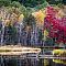 Fall on Left Foot Lake, Crivitz, Wisconsin